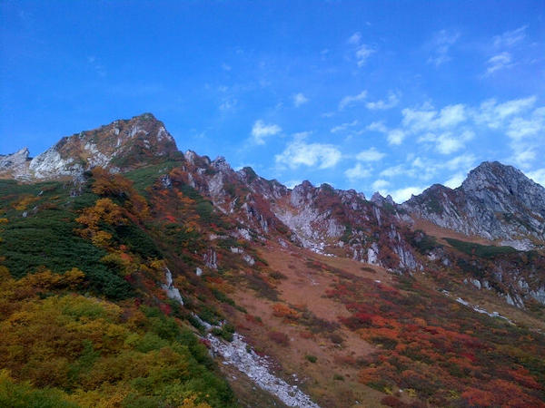 埋め込み画像への固定リンク