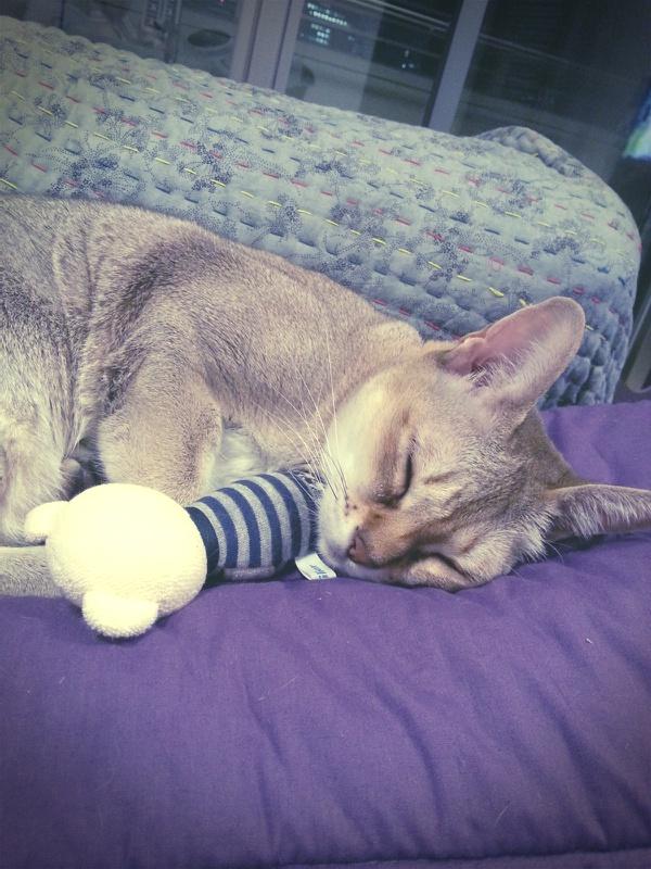 埋め込み画像への固定リンク