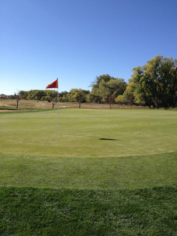 pretty_ricardo's tweet image. tee shot! attempted birdy #hole7 #3put #swag... on?