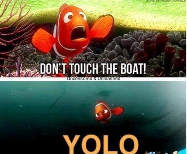 kingpin_paul's tweet photo. YOLO http://t.co/w7vsDeUB