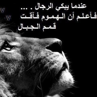 A4SUamJCAAEQ9gL.jpg