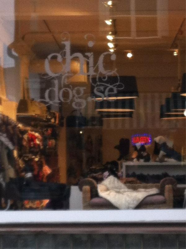 diffusecom's tweet image. Kan bli nåt! Ett första uppdrag kanske - på andra arbetsdan!