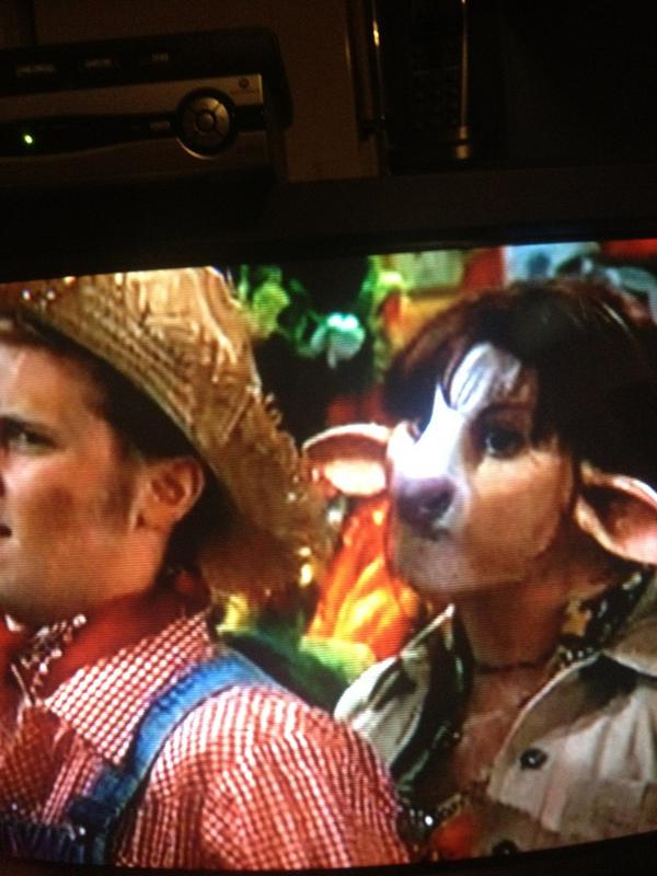 Samma_JammaL's tweet image. LMFAO! Chelsea eating some guys straw hat! #cowproblems