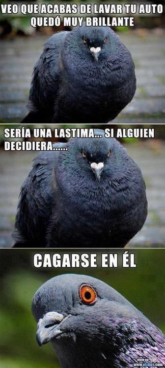 Acabas de lavar tu coche