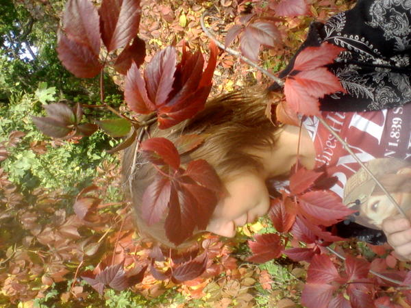 Inna Germanotta (@innagermanotta) on Twitter photo 