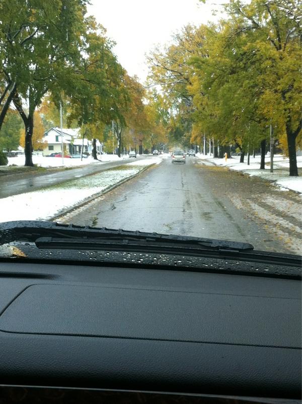 MegdaleneT's tweet image. It&apos;s kinda like a fall and winter mix out #finter