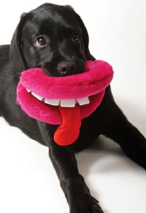 MeaningfulTwee2's tweet image. Everyone smiles in the same language