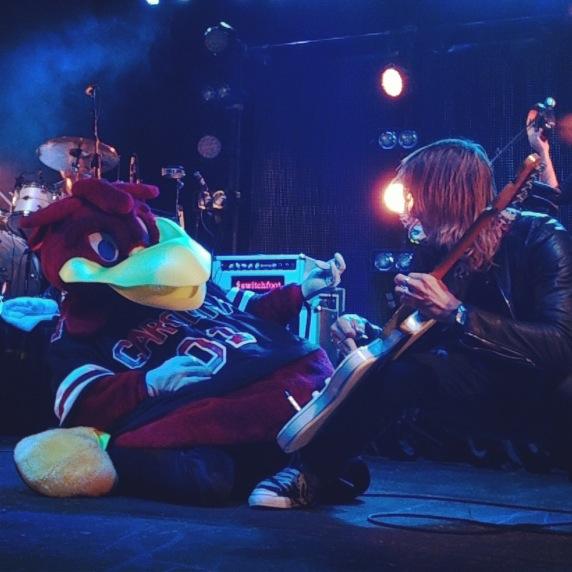 aridegy's tweet photo. When #Switchfoot and birds collide!  #GoCocky http://t.co/KqCl2azZ