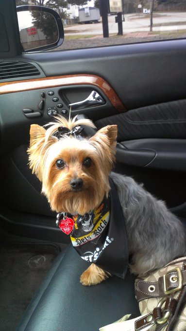 Watch SexiiTrina's leaked NSFW photo on TwXstars