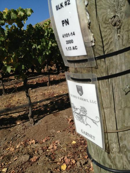 GarnetVineyards's tweet image. I love it when the vineyards have place cards!  #socivilized