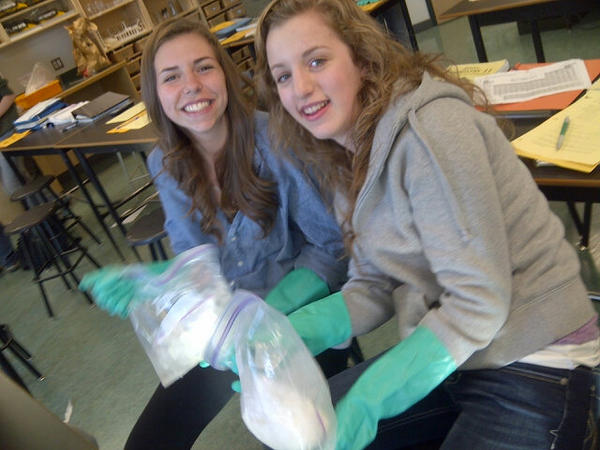 Zahyna_lewis's tweet image. Making ice cream in chemistry #goodclass