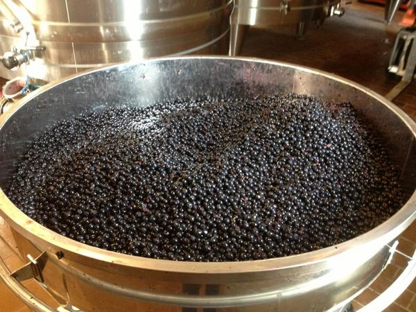 Caviar Béluga of Merlots  from Beau-Séjour Bécot!!!