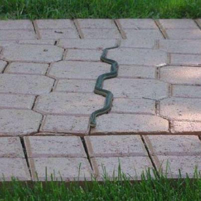 RepaveSprayOn's tweet photo. Happy Friday everyone! Can anybody spot the camouflage in this image? #paving #floor #camouflage #friday http://t.co/5MI0gxjZ