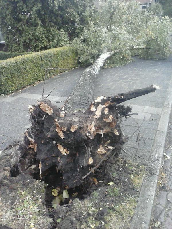 Ruben drenth tweet media