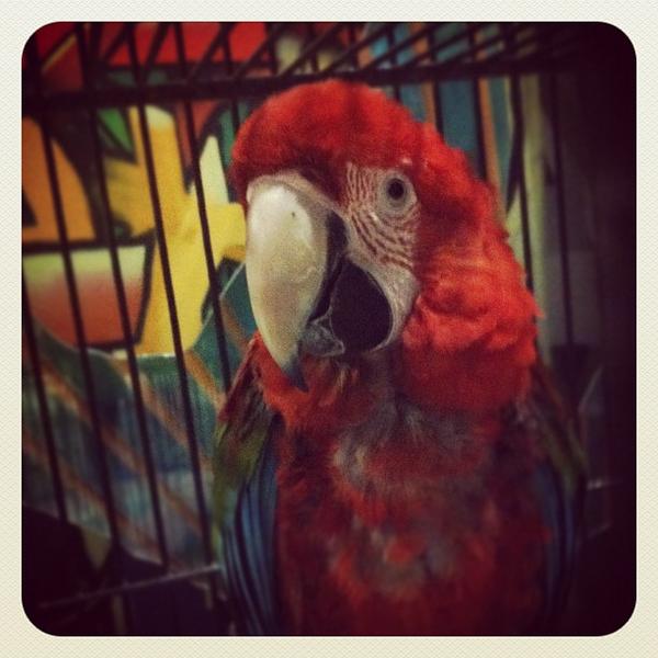 GotBeckO's tweet photo. Having fun at the school with Larry :-) http://t.co/rVQ3qQ6c