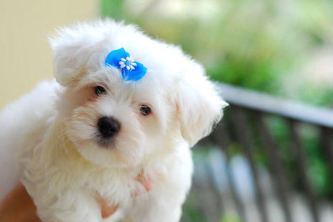 marianabeatris2's tweet photo. Lili http://t.co/P4iJWakh