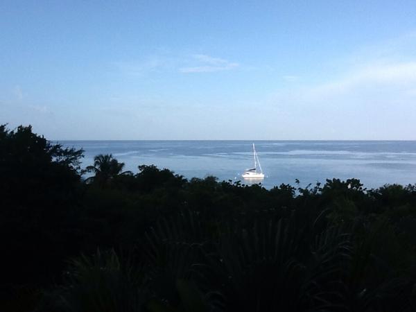 MustiqueMan's tweet photo. Another beautiful morning here on Mustique at 7.00 am http://t.co/CVcM55xT