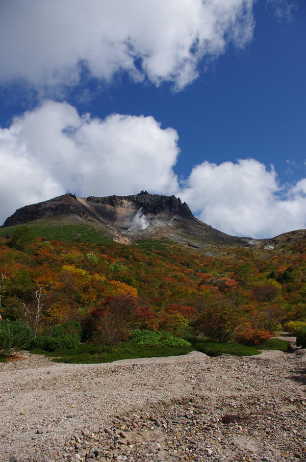 埋め込み画像への固定リンク