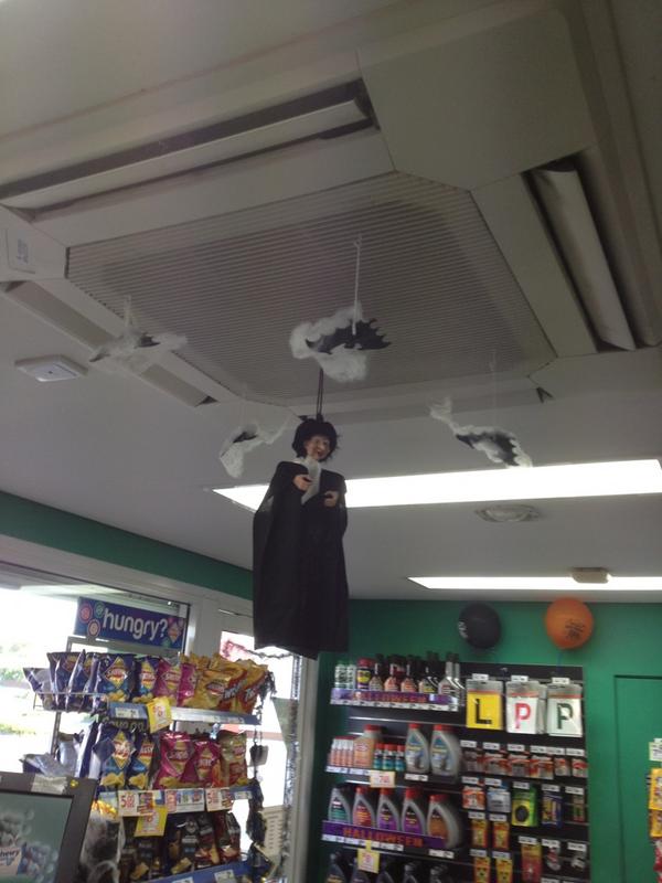 wwpetdbay's tweet photo. Some creepy crawlies in our shop we are haunted now http://t.co/1LbhEjRY