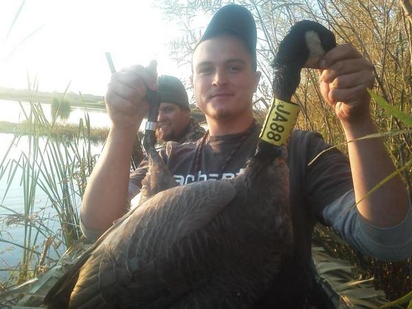 duckslayerz24's tweet photo. Banded in Washington county 2 year old!!! http://t.co/4CO0ZBRP