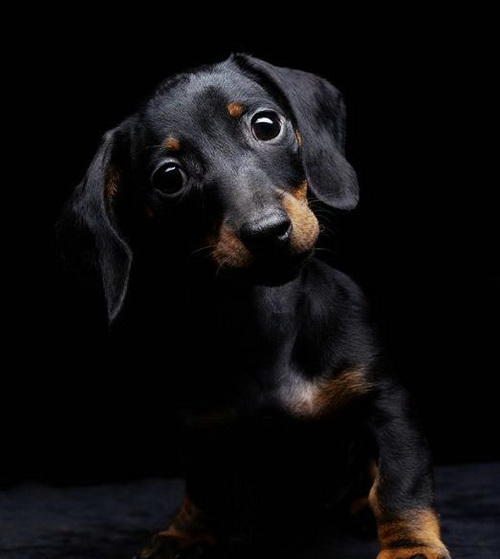 Snigger2016's tweet image. 