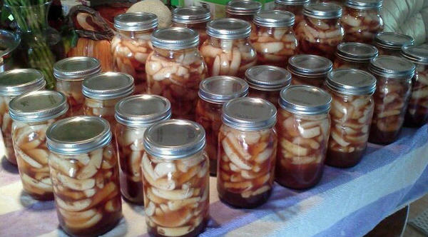 CollisionTemp's tweet image. Fall is here! Canned our own #apples. What are some #fall #traditions you do every year?