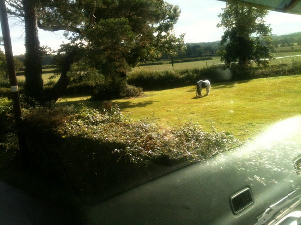 Enjoying the beautiful Kent countryside from MK Freight truck,