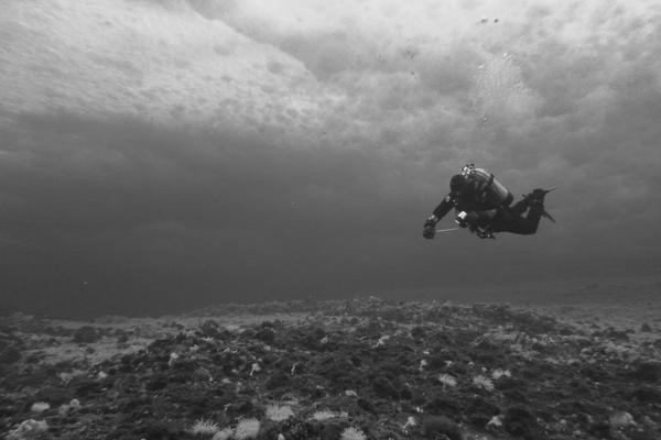 Collecting a few samples on our dive Monday.