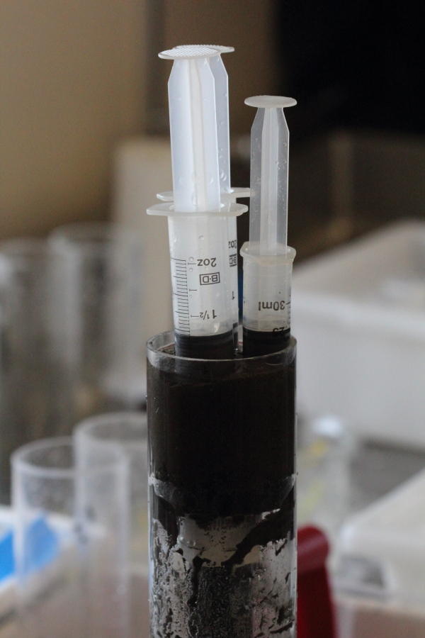 Photo: Here is one of our cores mid processing.  blogs.oregonstate.edu/colddarkbentho…