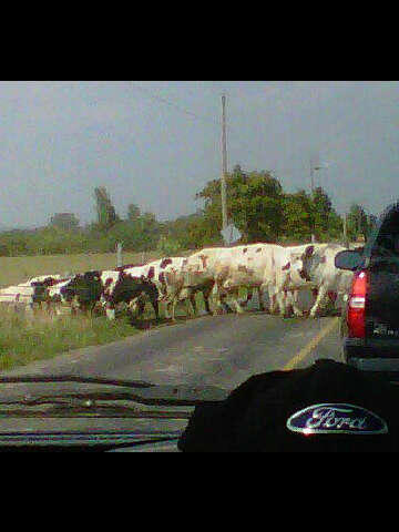 Ptbo_Canada's tweet image. &quot;@xxHollySmith: @Ptbo_Canada #countryproblems http://t.co/w206tNCV&quot; LOL