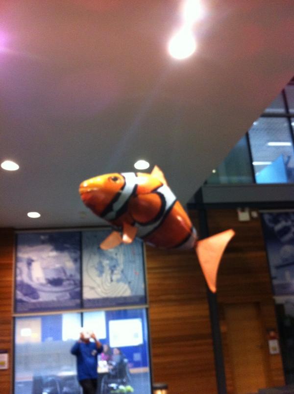 Flying fish as evening falls at the weather4fun event at the Met Office #wx4fun
