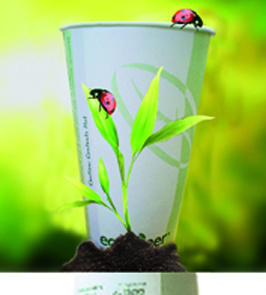 nos ponemos a sus ordenes en productos desechables biodegradables