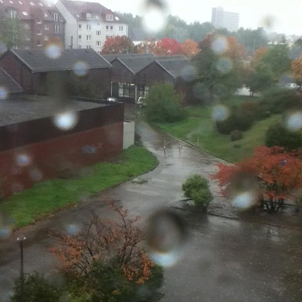 FaZePROOF's tweet image. …