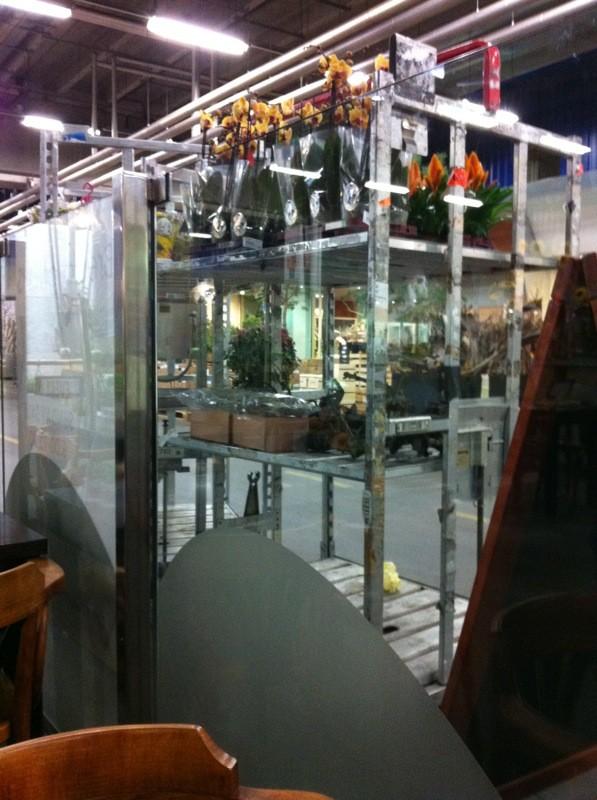 Jeffreydejong91's tweet photo. Even planten gekocht @byWaterdrinker voor schoolproject @CultraAalsmeer http://t.co/JeZPzwdm