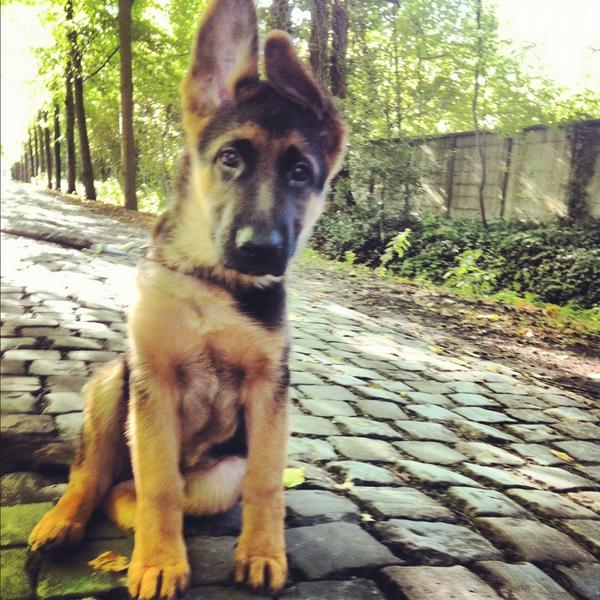 StucaJeff's tweet image. Fotomodel....!!