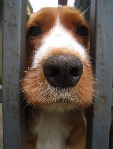 PortieFun's tweet image. Steekt zijn neus weer in andermans zaken #LoL