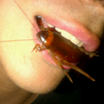 6ayben's tweet photo. كأني أشوف شنب!! =)) http://t.co/u9lHseMl