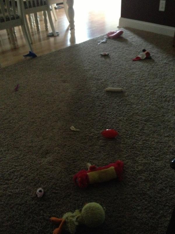 p_mcgee12's tweet image. Do ya think dunkin has enough toys out #crackdog