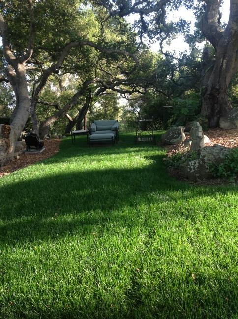 Watch Oprah Winfrey's leaked NSFW photo on TwXstars