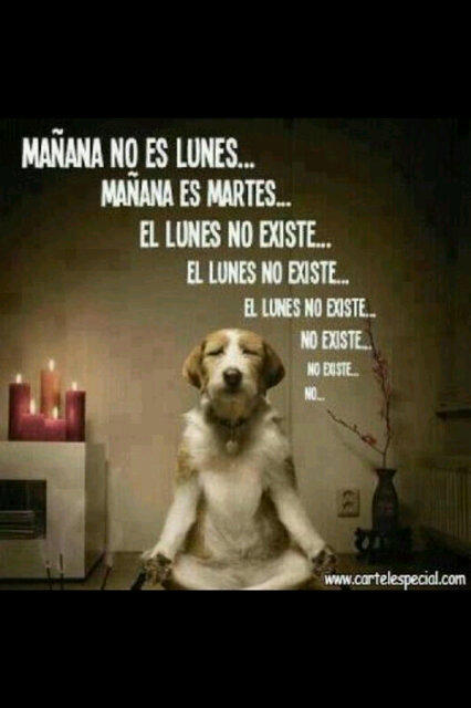 CBerberana's tweet photo. http://t.co/OFHHXokY
