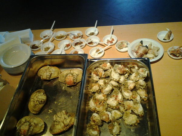 A taste of crab, this week at Atlanterhavsparken. En smak av krabbe denne uken på akvariet