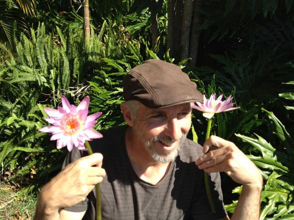 riyo sato tweet media