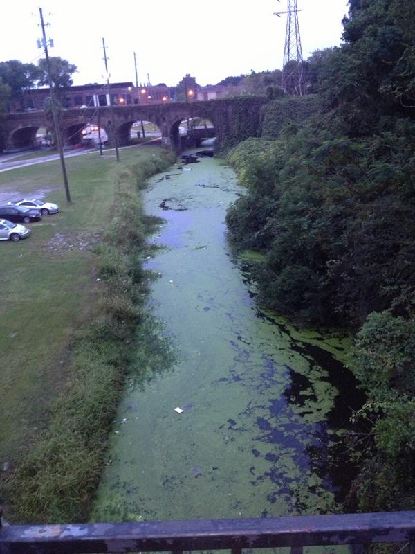 SCADProbz's tweet image. yummy. #SCADProbz