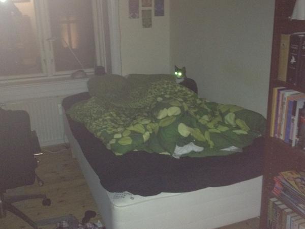 Waever_'s tweet photo. Oscar savner sin far. http://t.co/YGJmVxE7