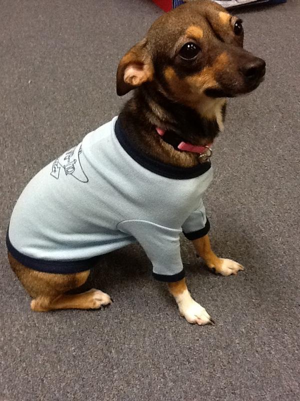 Tibbs_Drive_In's tweet photo. Clothe your canine in your favorite theatre! Tibbs doggie duds available this weekend. http://t.co/HqjcnFdh