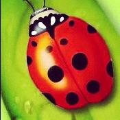 rosu2's tweet photo. Hi http://t.co/uX4V5l5L