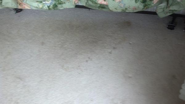 dmsclean's tweet image. 