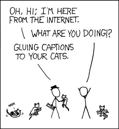 LOLCats.com tweet media