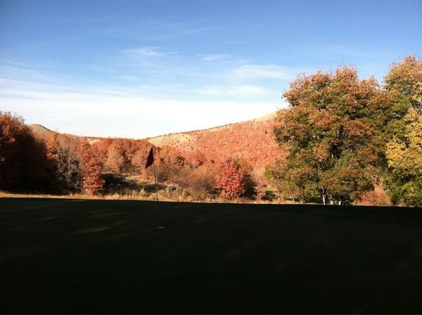 travis_chambers's tweet image. @PrestonPParker @trent_morrison #socmeddiscuss