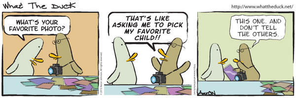 wtdcomics tweet picture